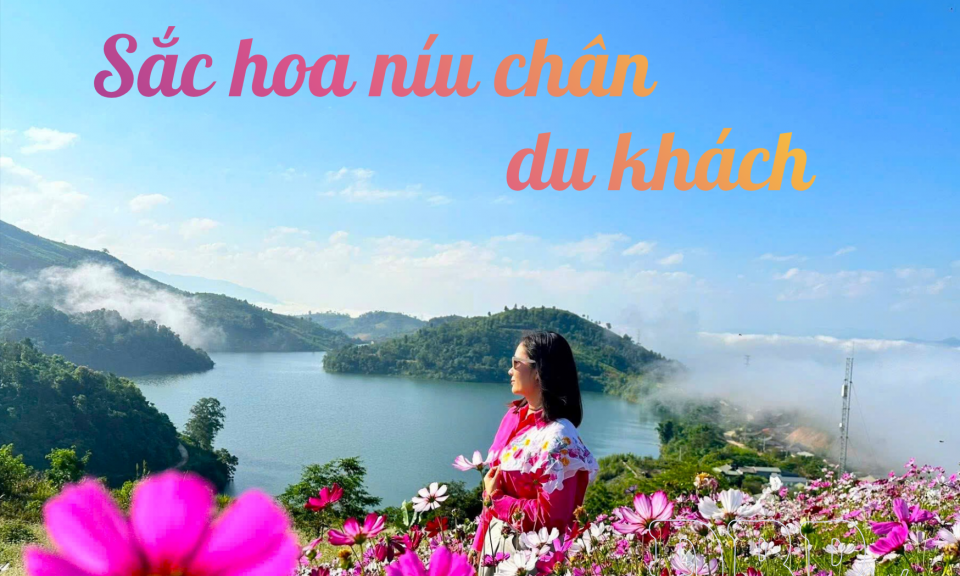 Sắc hoa n&iacute;u ch&acirc;n du kh&aacute;ch