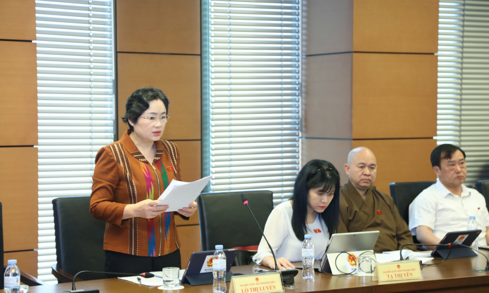ĐBQH tỉnh tham gia &yacute; kiến sửa đổi Luật Trợ gi&uacute;p ph&aacute;p l&yacute;