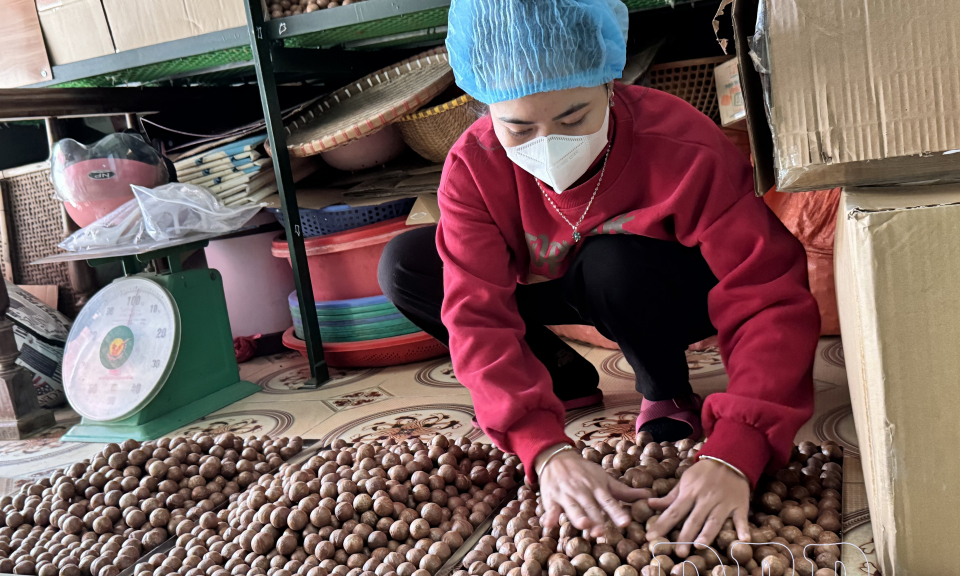 Để n&ocirc;ng sản c&oacute; đầu ra ổn định