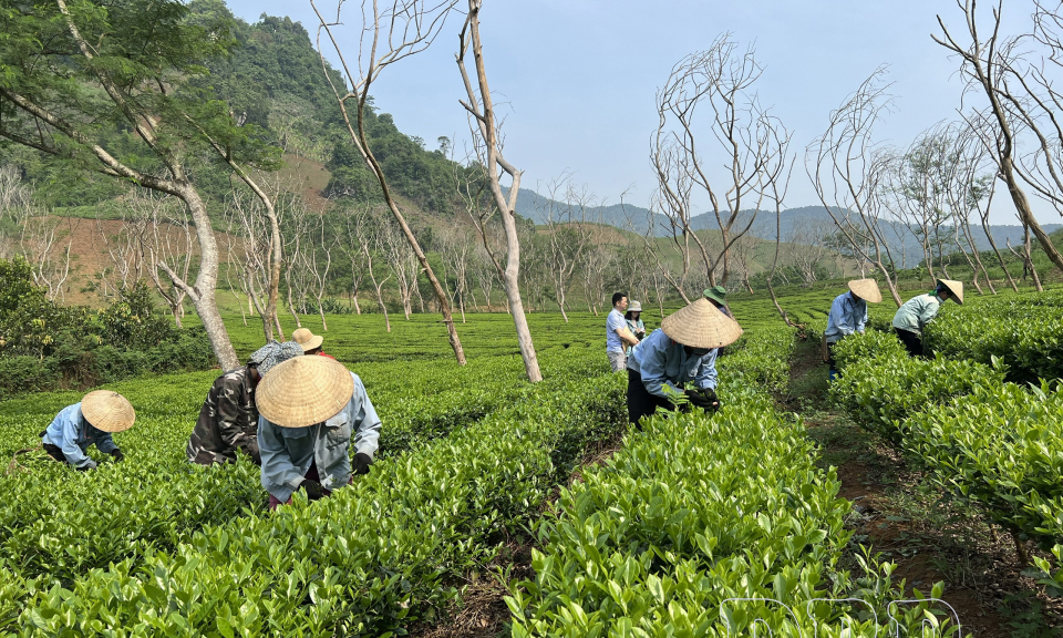Sản xuất n&ocirc;ng nghiệp xanh