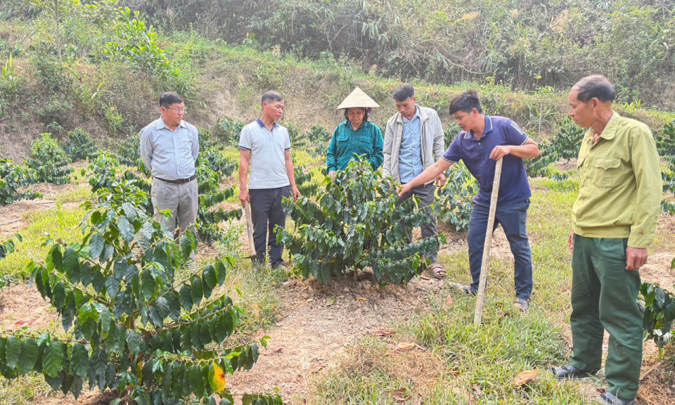 X&oacute;a ngh&egrave;o từ thay đổi nhận thức