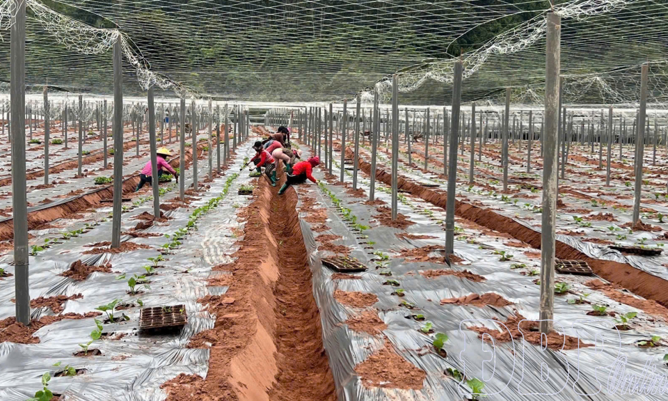 Giữ đất bằng c&aacute;ch l&agrave;m mới