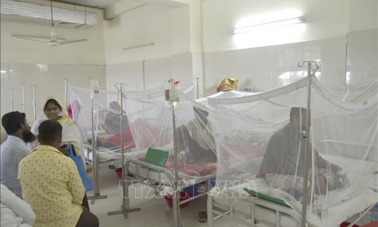 Cảnh b&aacute;o nguy cơ dịch sốt xuất huyết b&ugrave;ng ph&aacute;t kỷ lục trong năm 2026