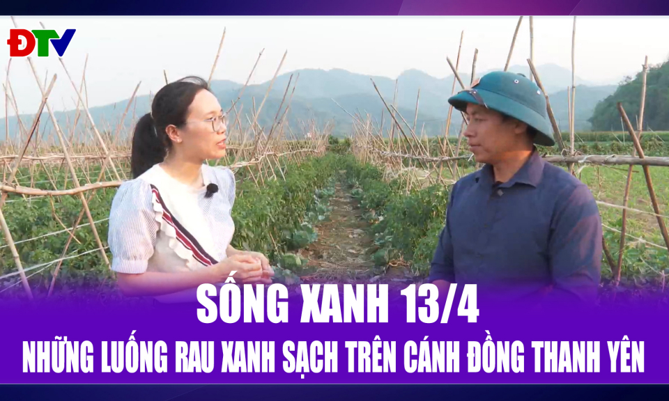 Những luống rau xanh sạch tr&ecirc;n c&aacute;nh đồng Thanh Y&ecirc;n
