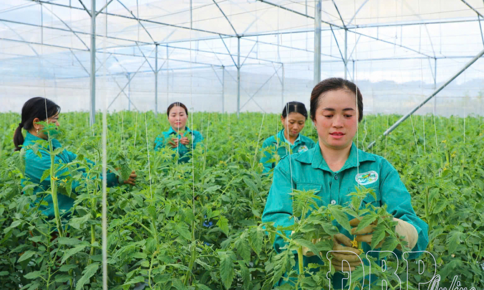 N&ocirc;ng nghiệp xanh v&agrave; bền vững