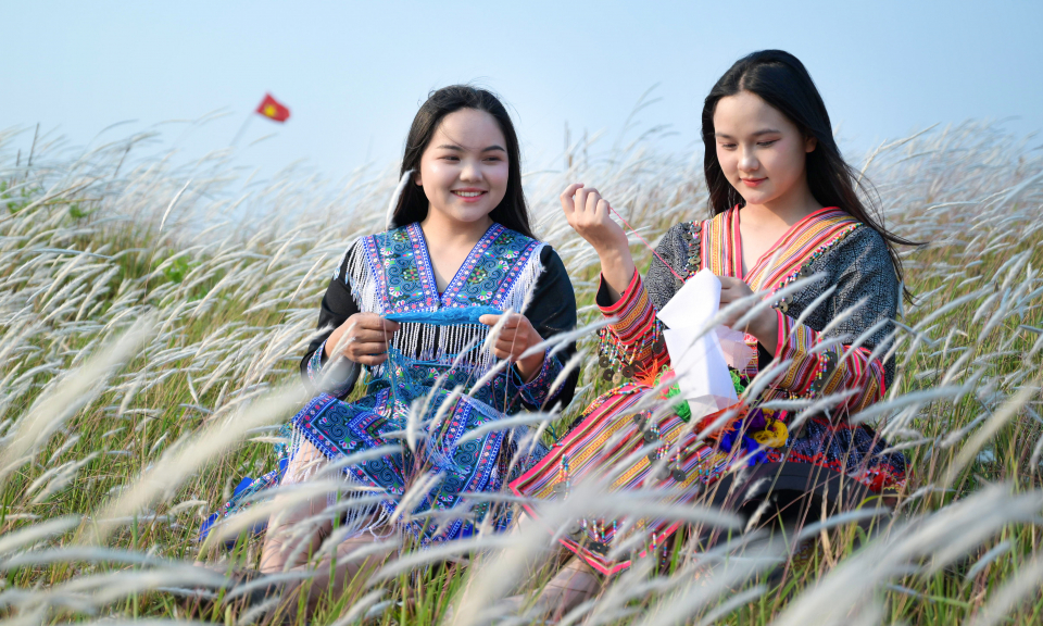 Đồi cỏ tranh T&igrave;a L&oacute;: Tọa độ check-in đẹp ngỡ ng&agrave;ng