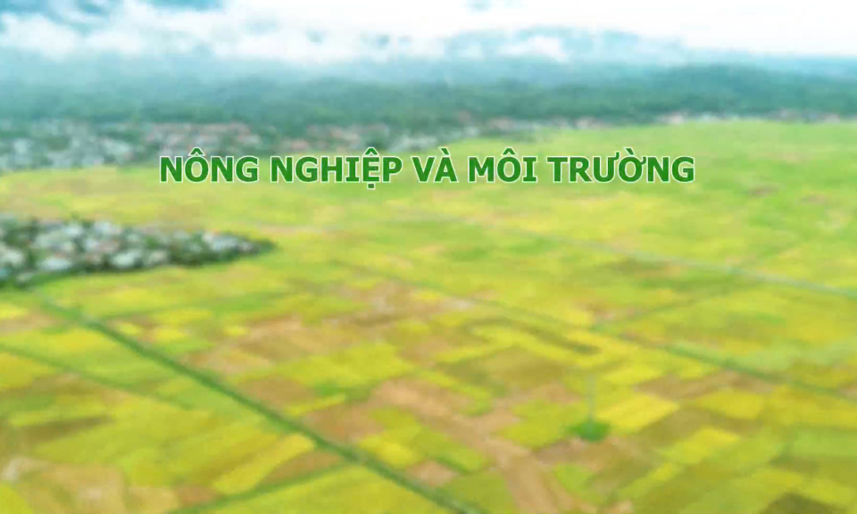 T&agrave;i nguy&ecirc;n v&agrave; m&ocirc;i trường (Ng&agrave;y 14-4-2026)