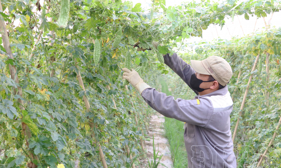 Chuyển đổi đất l&uacute;a th&iacute;ch ứng với biến đổi kh&iacute; hậu