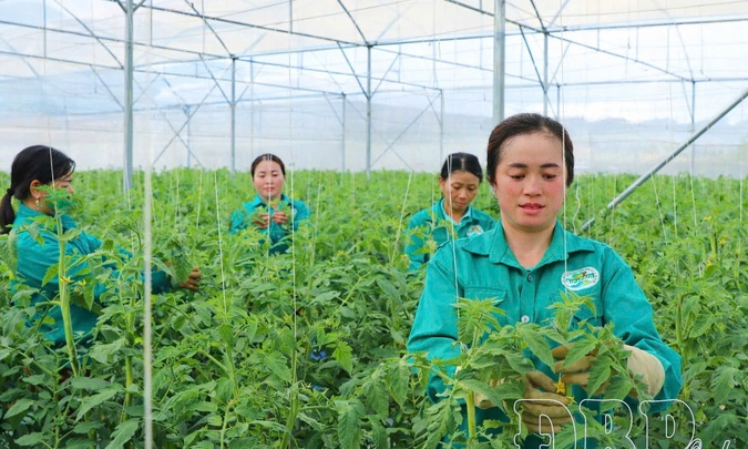 Green and sustainable agriculture: A strategic vision for Điện Bi&ecirc;n