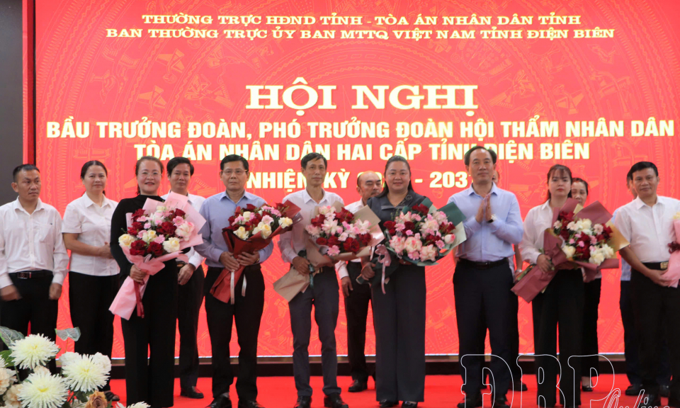 Bầu trưởng, ph&oacute; đo&agrave;n Hội thẩm T&ograve;a &aacute;n nh&acirc;n d&acirc;n hai cấp