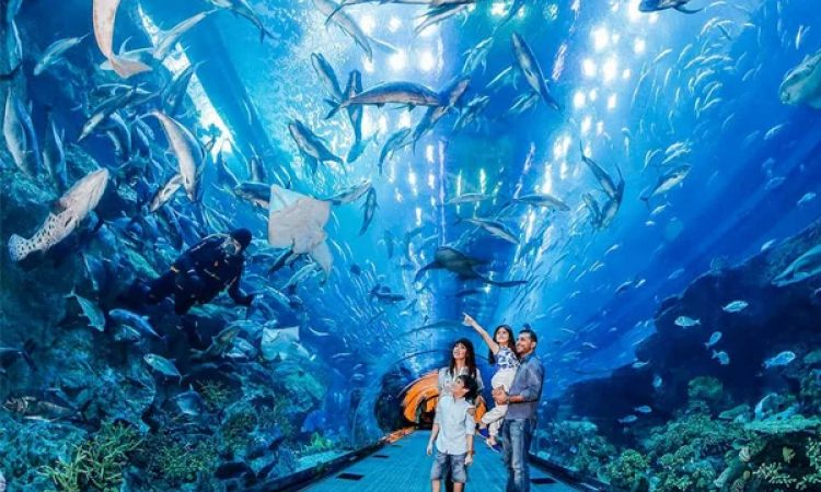 Những điều phải biết khi du lịch Th&aacute;i Lan cho người mới 