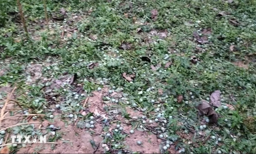 D&ocirc;ng lốc, mưa đ&aacute; l&agrave;m 5 người chết v&agrave; bị thương, hơn 1.000 ng&ocirc;i nh&agrave; bị thiệt hại