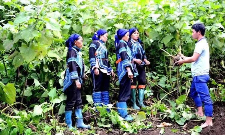 Khẩn trương ho&agrave;n th&agrave;nh đưa v&agrave;o vận h&agrave;nh cơ sở dữ liệu về d&acirc;n tộc, t&ocirc;n gi&aacute;o