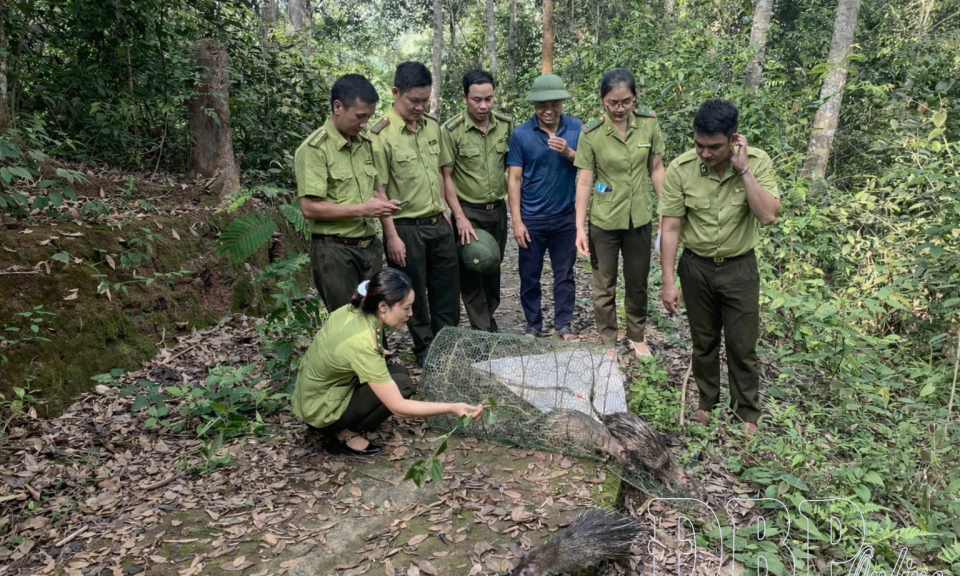 Đa dạng sinh học trước sức &eacute;p ph&aacute;t triển