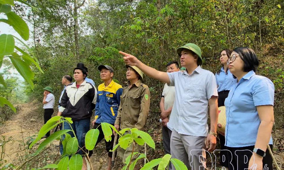 Th&aacute;o gỡ vướng mắc chi trả dịch vụ m&ocirc;i trường rừng 