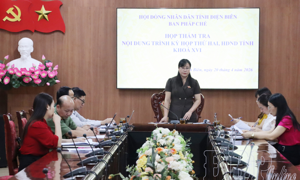 Ban Ph&aacute;p chế thẩm tra nội dung tr&igrave;nh HĐND tỉnh