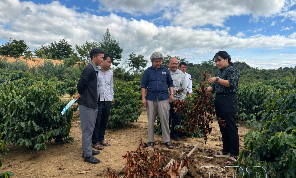 Hạn chế h&oacute;a chất trong canh t&aacute;c