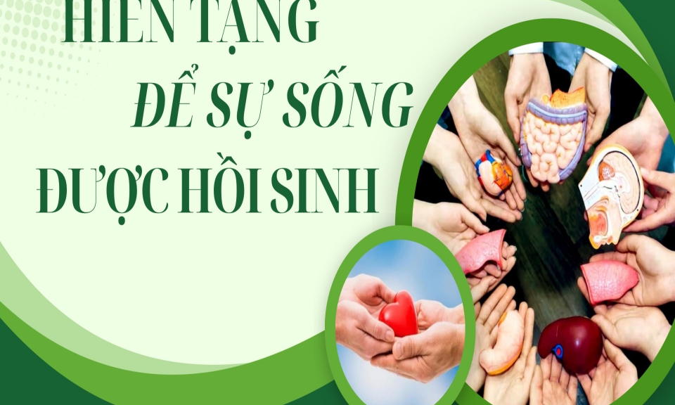 Hồi sinh sự sống từ tạng hiến