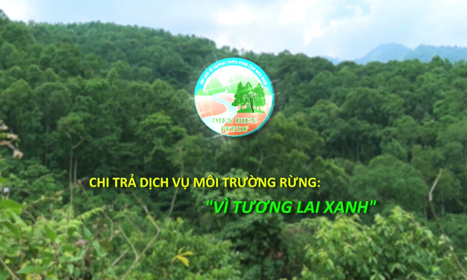 Chi trả dịch vụ m&ocirc;i trường rừng - V&igrave; tương lai xanh (Th&aacute;ng 4/2026)