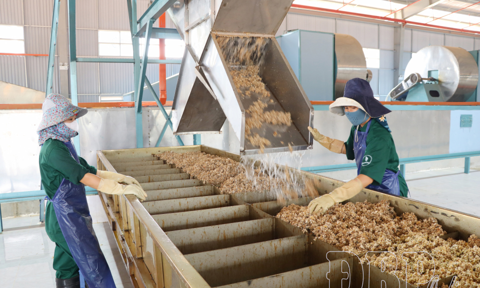 Khơi th&ocirc;ng nguồn lực th&uacute;c đẩy kinh tế tư nh&acirc;n ph&aacute;t triển