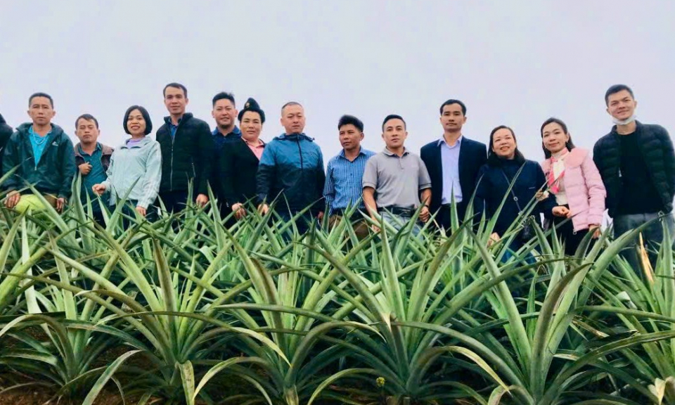 Người trẻ ở th&ocirc;n bản lập hợp t&aacute;c x&atilde;