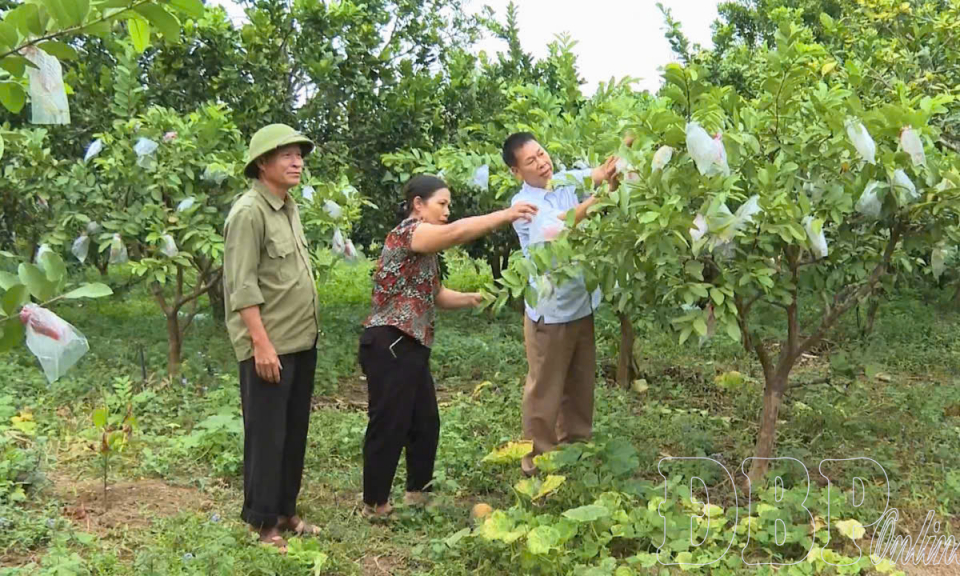 N&ocirc;ng d&acirc;n chung sức x&acirc;y dựng n&ocirc;ng th&ocirc;n mới