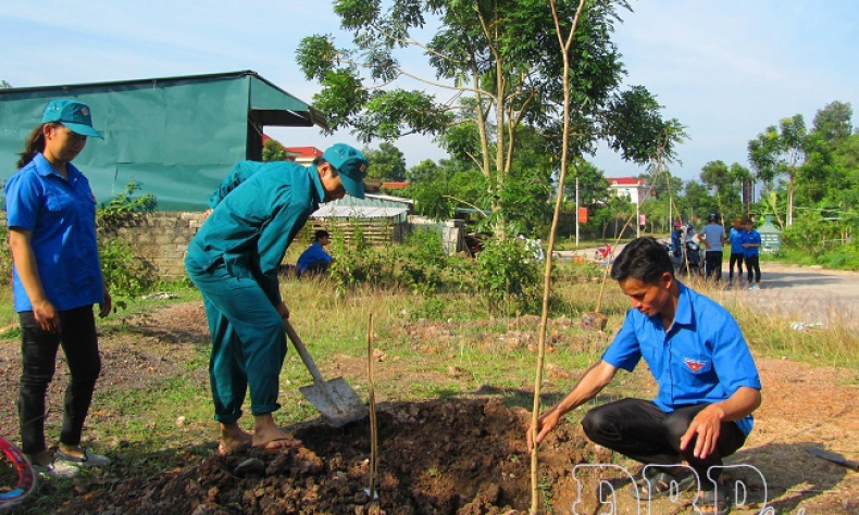 Trồng c&acirc;y ph&acirc;n t&aacute;n, ph&aacute;t triển vốn rừng