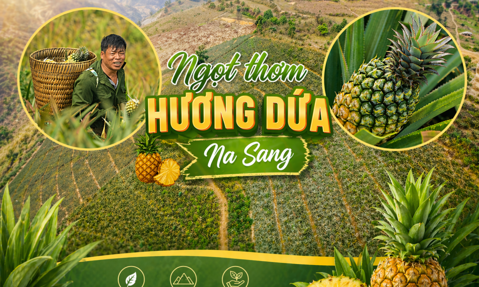 Ngọt thơm hương dứa Na Sang