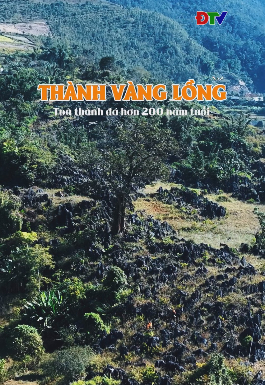 Th&agrave;nh V&agrave;ng Lồng
