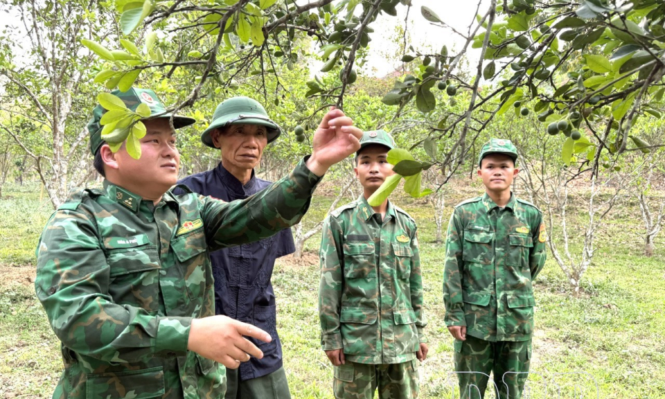 Gắn kết nghĩa t&igrave;nh, giữ vững ph&ecirc;n giậu Tổ quốc 