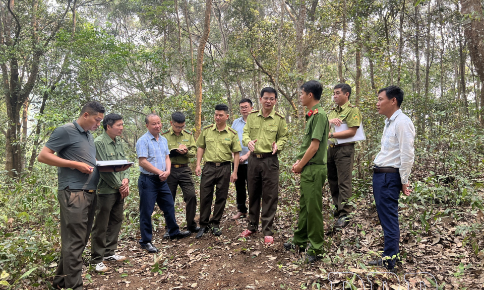 Quyết t&acirc;m ho&agrave;n th&agrave;nh chỉ ti&ecirc;u l&acirc;m nghiệp 