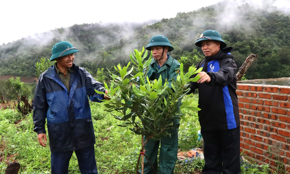 Nỗ lực thu h&uacute;t đầu tư v&agrave;o n&ocirc;ng nghiệp