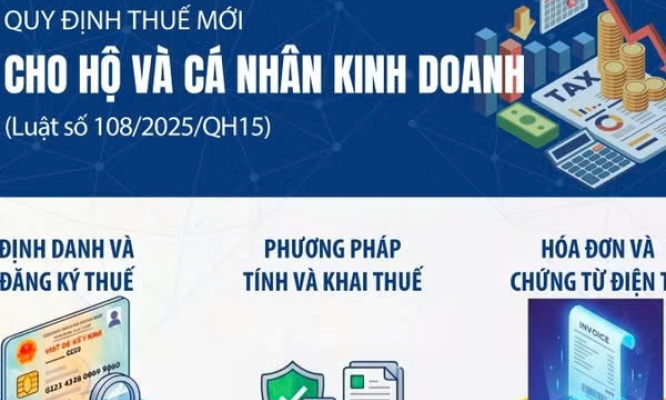 (Infographic) Quy định mới về kiểm tra thuế v&agrave; số h&oacute;a quản l&yacute; cho hộ v&agrave; c&aacute; nh&acirc;n kinh doanh