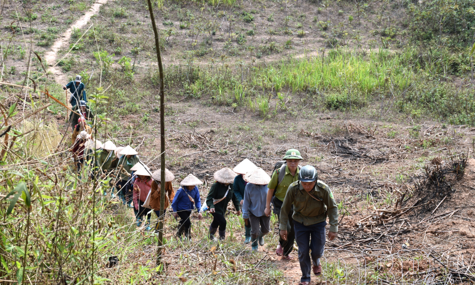 Giữ rừng như hơi thở