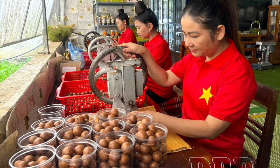Kỳ vọng những gi&aacute; trị bền vững từ hội nghị x&uacute;c tiến đầu tư