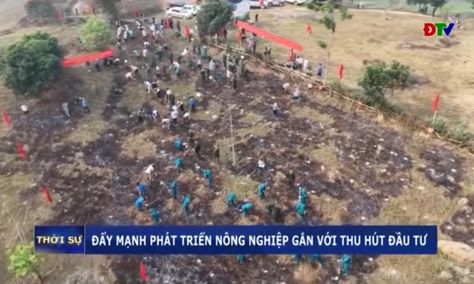 Đẩy mạnh ph&aacute;t triển n&ocirc;ng nghiệp gắn với thu h&uacute;t đầu tư